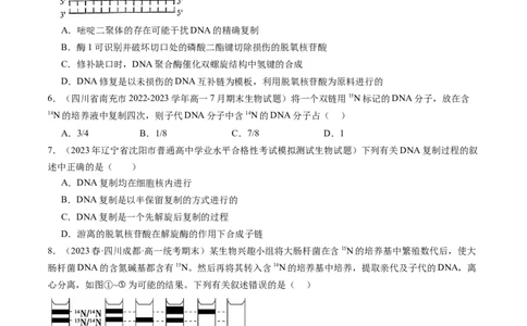 第21讲DNA分子的结构、复制与基因的本质（练习）（原卷版）_2024年新高考资料_1.2024一轮复习_2024年高考生物一轮复习讲练测（新教材新高考）