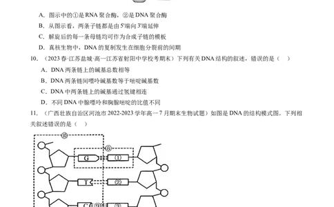 第21讲DNA分子的结构、复制与基因的本质（练习）（原卷版）_2024年新高考资料_1.2024一轮复习_2024年高考生物一轮复习讲练测（新教材新高考）