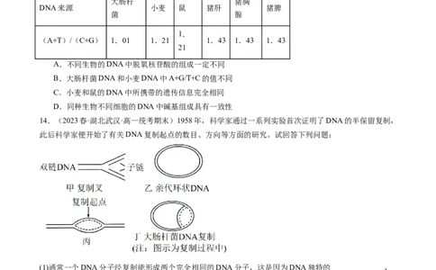 第21讲DNA分子的结构、复制与基因的本质（练习）（原卷版）_2024年新高考资料_1.2024一轮复习_2024年高考生物一轮复习讲练测（新教材新高考）