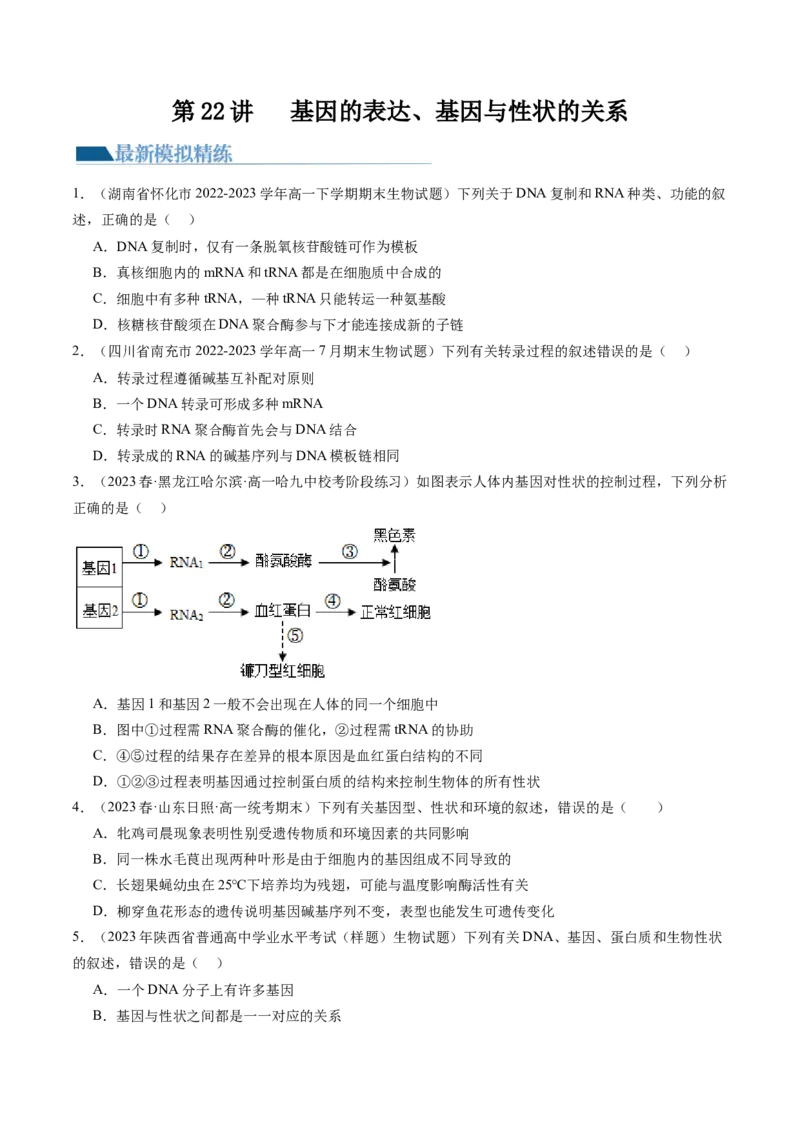 第22讲基因的表达、基因与性状的关系（练习）（原卷版）_2024年新高考资料_1.2024一轮复习_2024年高考生物一轮复习讲练测（新教材新高考）