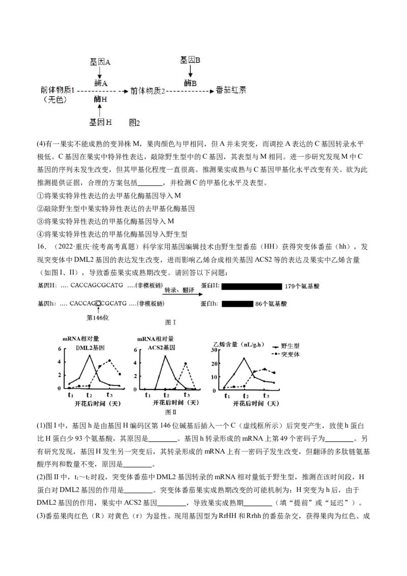 第22讲基因的表达、基因与性状的关系（练习）（原卷版）_2024年新高考资料_1.2024一轮复习_2024年高考生物一轮复习讲练测（新教材新高考）