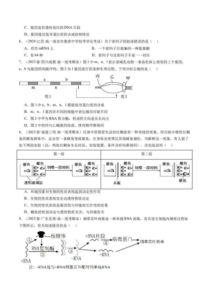 第22讲基因的表达、基因与性状的关系（练习）（原卷版）_2024年新高考资料_1.2024一轮复习_2024年高考生物一轮复习讲练测（新教材新高考）
