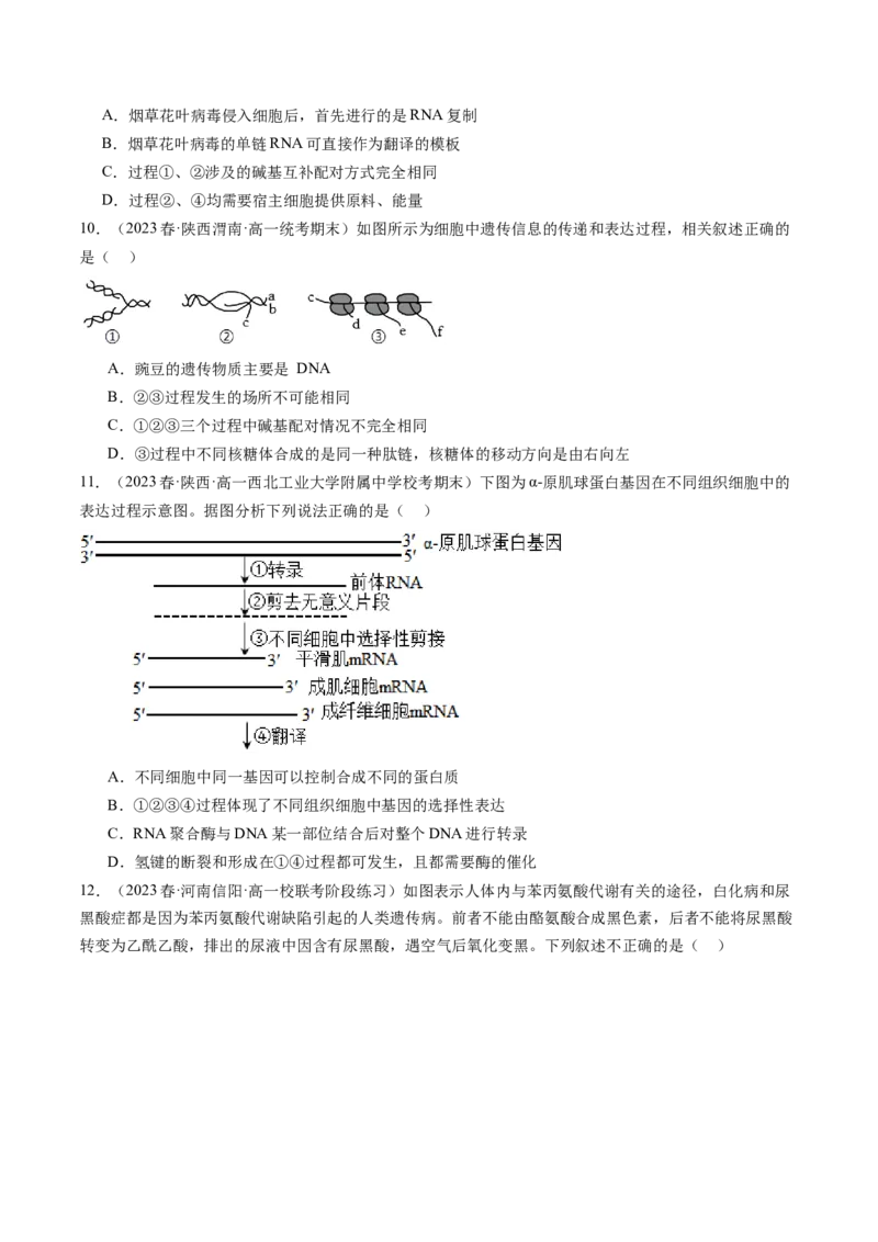 第22讲基因的表达、基因与性状的关系（练习）（原卷版）_2024年新高考资料_1.2024一轮复习_2024年高考生物一轮复习讲练测（新教材新高考）