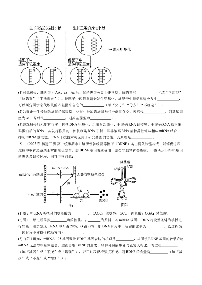 第22讲基因的表达、基因与性状的关系（练习）（原卷版）_2024年新高考资料_1.2024一轮复习_2024年高考生物一轮复习讲练测（新教材新高考）