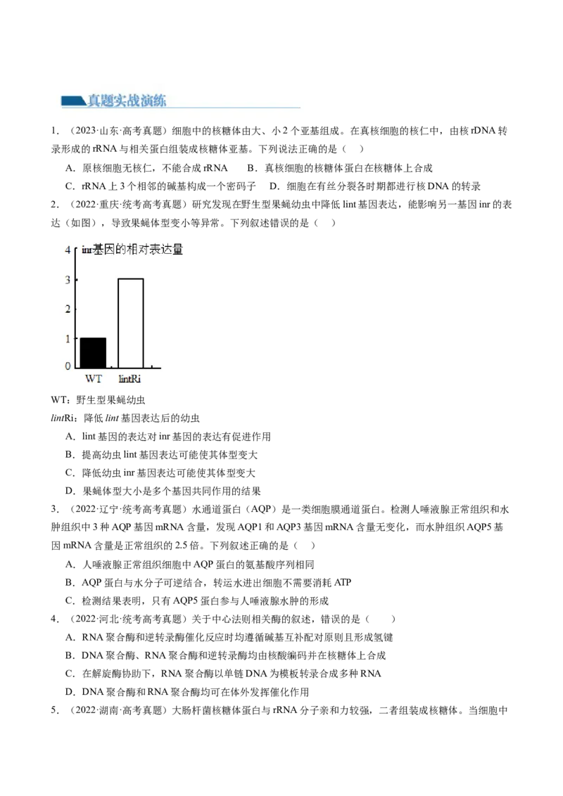 第22讲基因的表达、基因与性状的关系（练习）（原卷版）_2024年新高考资料_1.2024一轮复习_2024年高考生物一轮复习讲练测（新教材新高考）