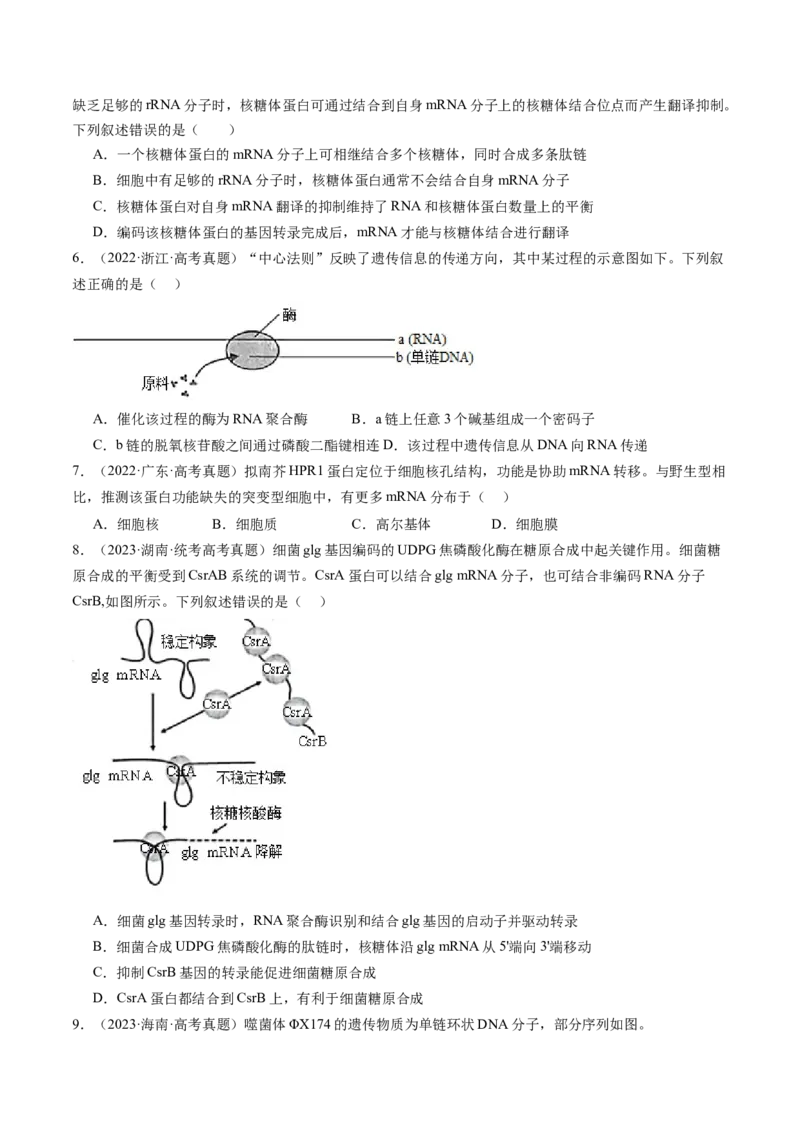 第22讲基因的表达、基因与性状的关系（练习）（原卷版）_2024年新高考资料_1.2024一轮复习_2024年高考生物一轮复习讲练测（新教材新高考）