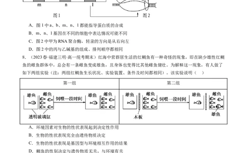第22讲基因的表达、基因与性状的关系（练习）（原卷版）_2024年新高考资料_1.2024一轮复习_2024年高考生物一轮复习讲练测（新教材新高考）