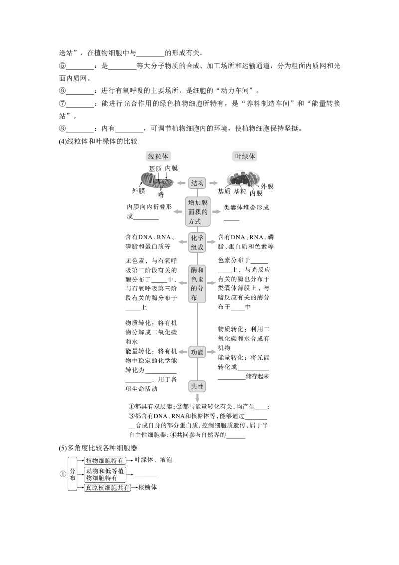 第2单元　第2课时　细胞器之间的分工合作_2024年新高考资料_1.2024一轮复习_2024年高考生物一轮复习讲义（新人教版）_学生版在此文件夹_大一轮复习讲义