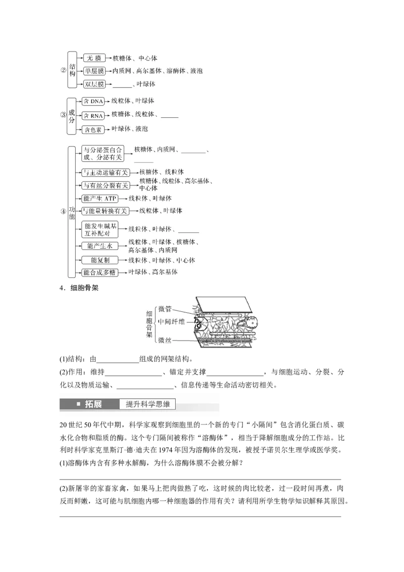 第2单元　第2课时　细胞器之间的分工合作_2024年新高考资料_1.2024一轮复习_2024年高考生物一轮复习讲义（新人教版）_学生版在此文件夹_大一轮复习讲义