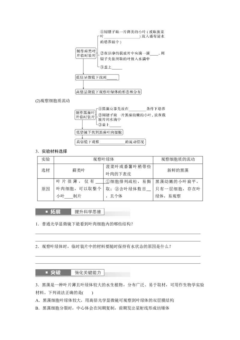 第2单元　第2课时　细胞器之间的分工合作_2024年新高考资料_1.2024一轮复习_2024年高考生物一轮复习讲义（新人教版）_学生版在此文件夹_大一轮复习讲义