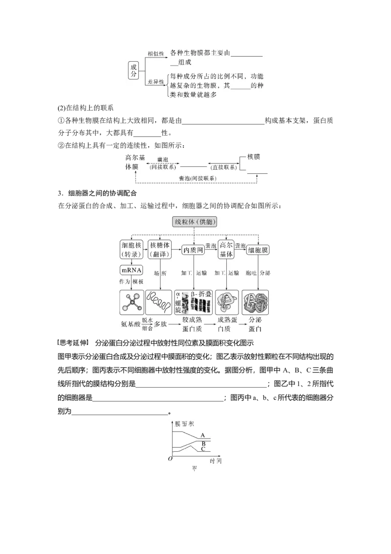 第2单元　第2课时　细胞器之间的分工合作_2024年新高考资料_1.2024一轮复习_2024年高考生物一轮复习讲义（新人教版）_学生版在此文件夹_大一轮复习讲义