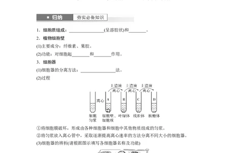第2单元　第2课时　细胞器之间的分工合作_2024年新高考资料_1.2024一轮复习_2024年高考生物一轮复习讲义（新人教版）_学生版在此文件夹_大一轮复习讲义