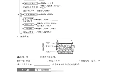 第2单元　第2课时　细胞器之间的分工合作_2024年新高考资料_1.2024一轮复习_2024年高考生物一轮复习讲义（新人教版）_学生版在此文件夹_大一轮复习讲义