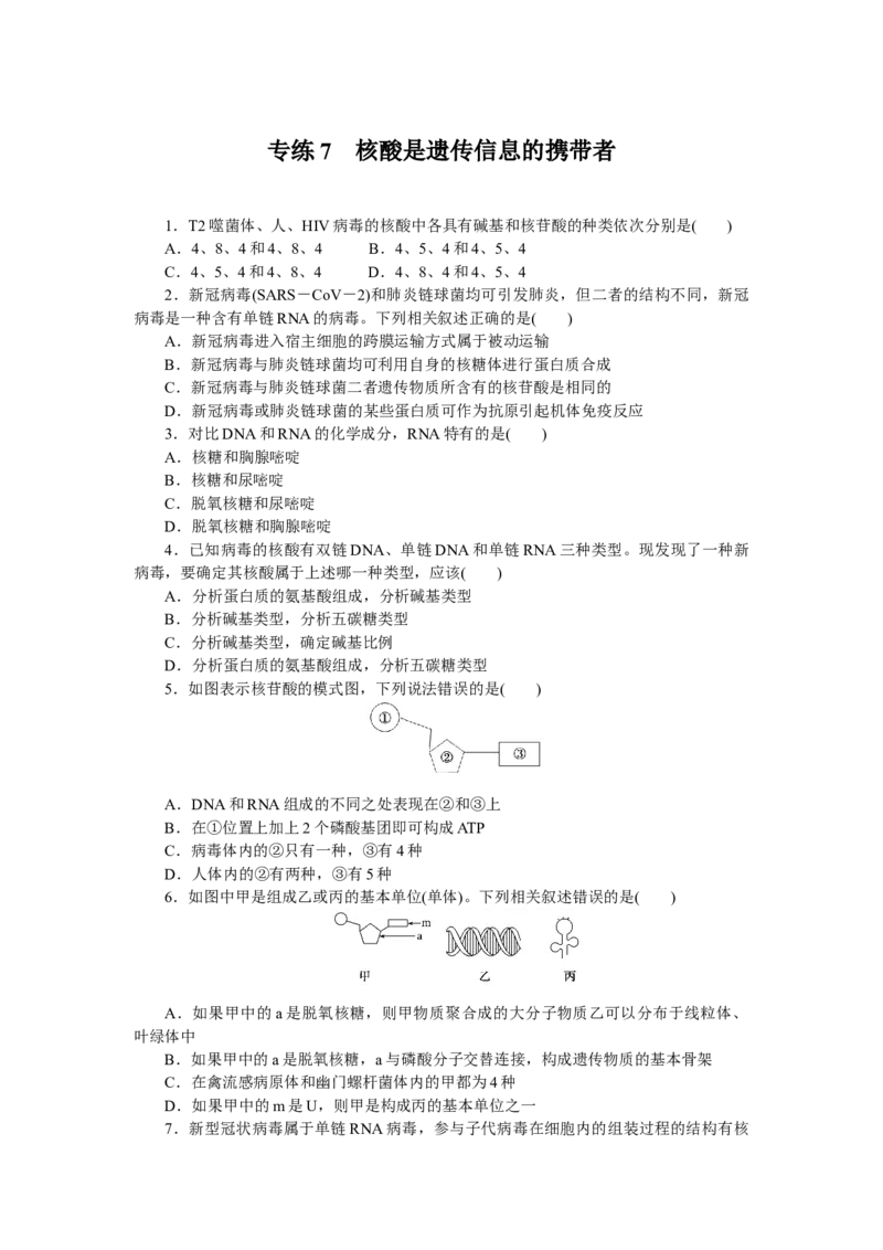 专练7　核酸是遗传信息的携带者_新高考复习资料_2023年新高考复习资料_专项复习_2023《微专题&middot;小练习》&middot;生物&middot;新教材&middot;XL-7