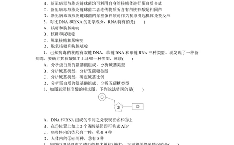 专练7　核酸是遗传信息的携带者_新高考复习资料_2023年新高考复习资料_专项复习_2023《微专题&middot;小练习》&middot;生物&middot;新教材&middot;XL-7