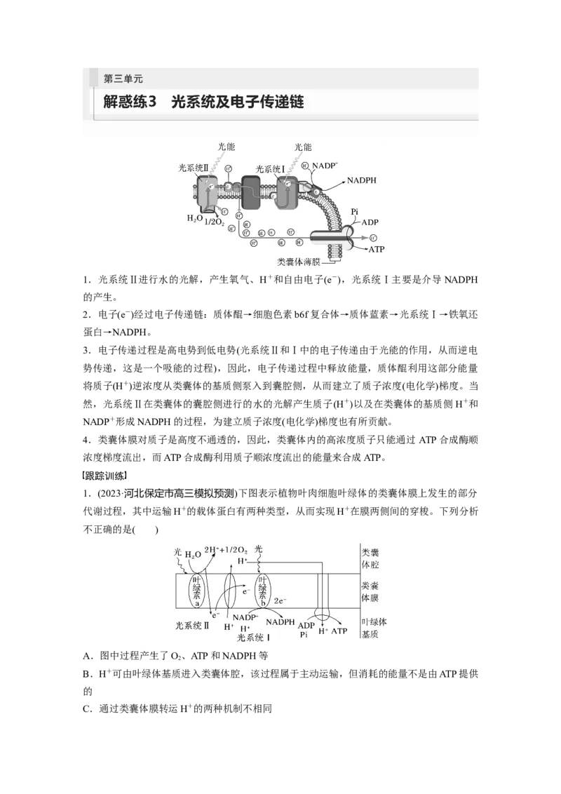 第3单元　解惑练3　光系统及电子传递链_2024年新高考资料_1.2024一轮复习_2024年高考生物一轮复习讲义（新人教版）_学生版在此文件夹_一轮复习69练_第三单元　细胞的能量供应和利用