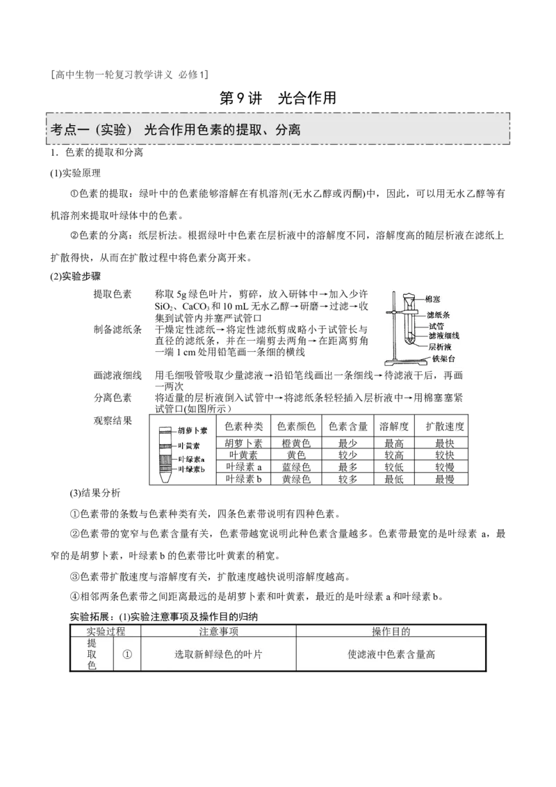 GKSW150_第9讲光合作用-备战2022年高考生物一轮复习精品讲义（人教版）(原卷版)_新高考复习资料_2022年新高考复习资料_备战2022新高考生物一轮复习精品讲义（人教版）