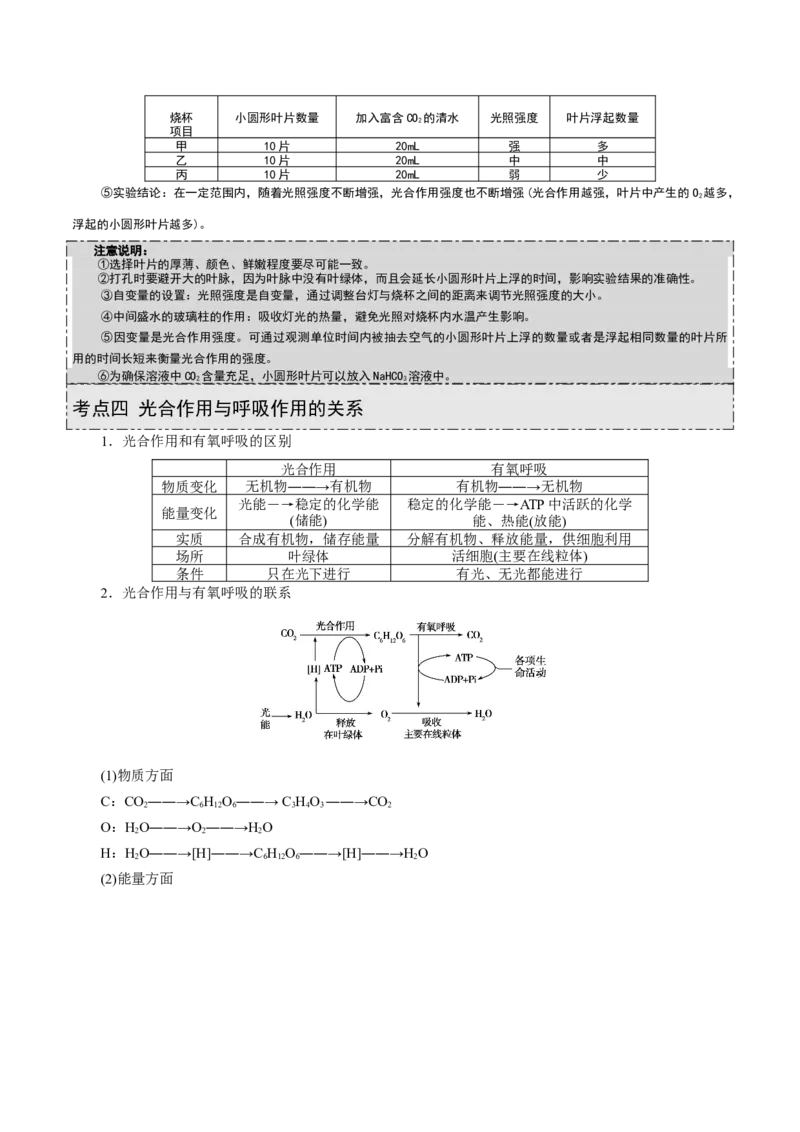 GKSW150_第9讲光合作用-备战2022年高考生物一轮复习精品讲义（人教版）(原卷版)_新高考复习资料_2022年新高考复习资料_备战2022新高考生物一轮复习精品讲义（人教版）