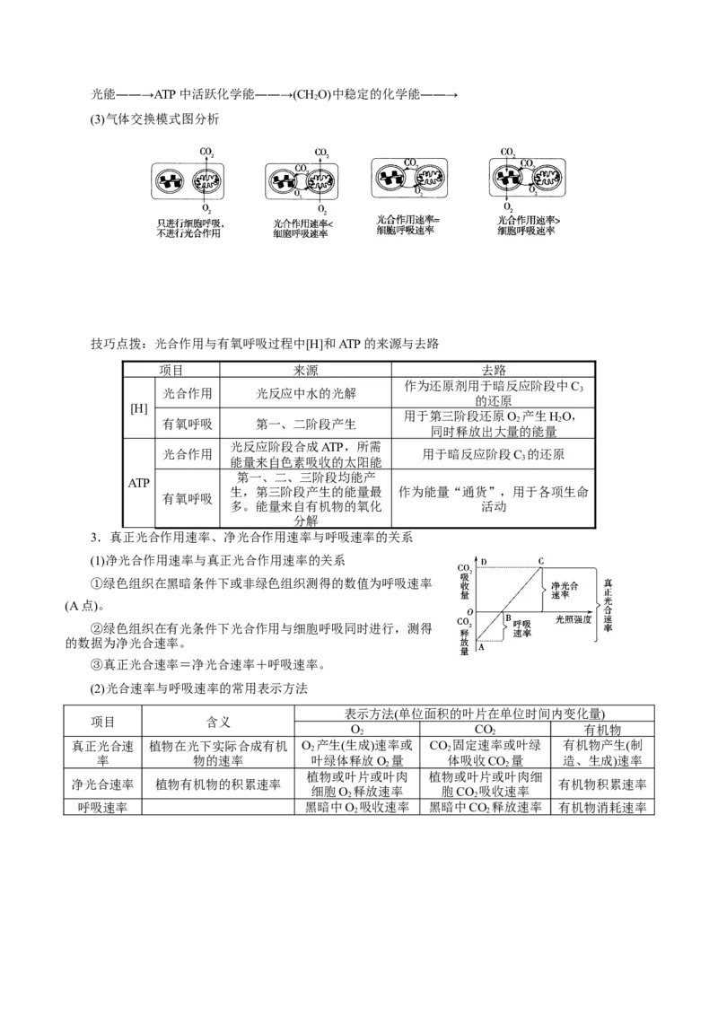 GKSW150_第9讲光合作用-备战2022年高考生物一轮复习精品讲义（人教版）(原卷版)_新高考复习资料_2022年新高考复习资料_备战2022新高考生物一轮复习精品讲义（人教版）