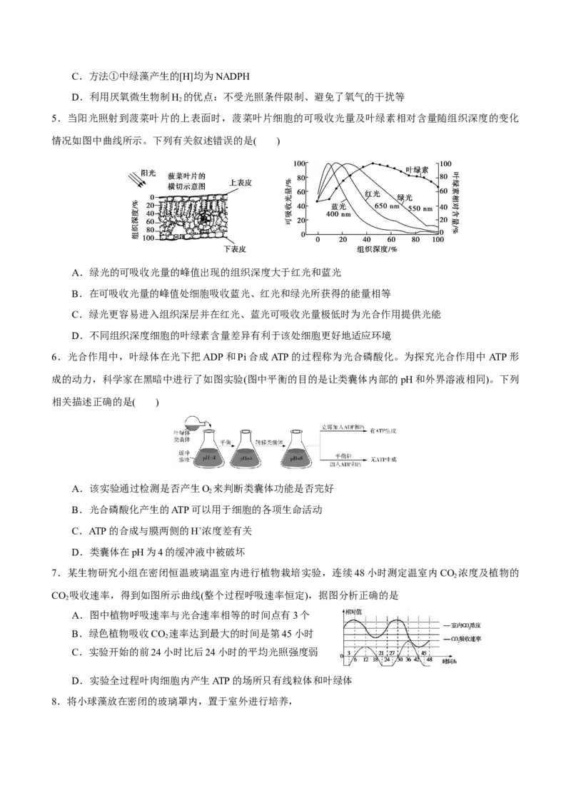 GKSW150_第9讲光合作用-备战2022年高考生物一轮复习精品讲义（人教版）(原卷版)_新高考复习资料_2022年新高考复习资料_备战2022新高考生物一轮复习精品讲义（人教版）