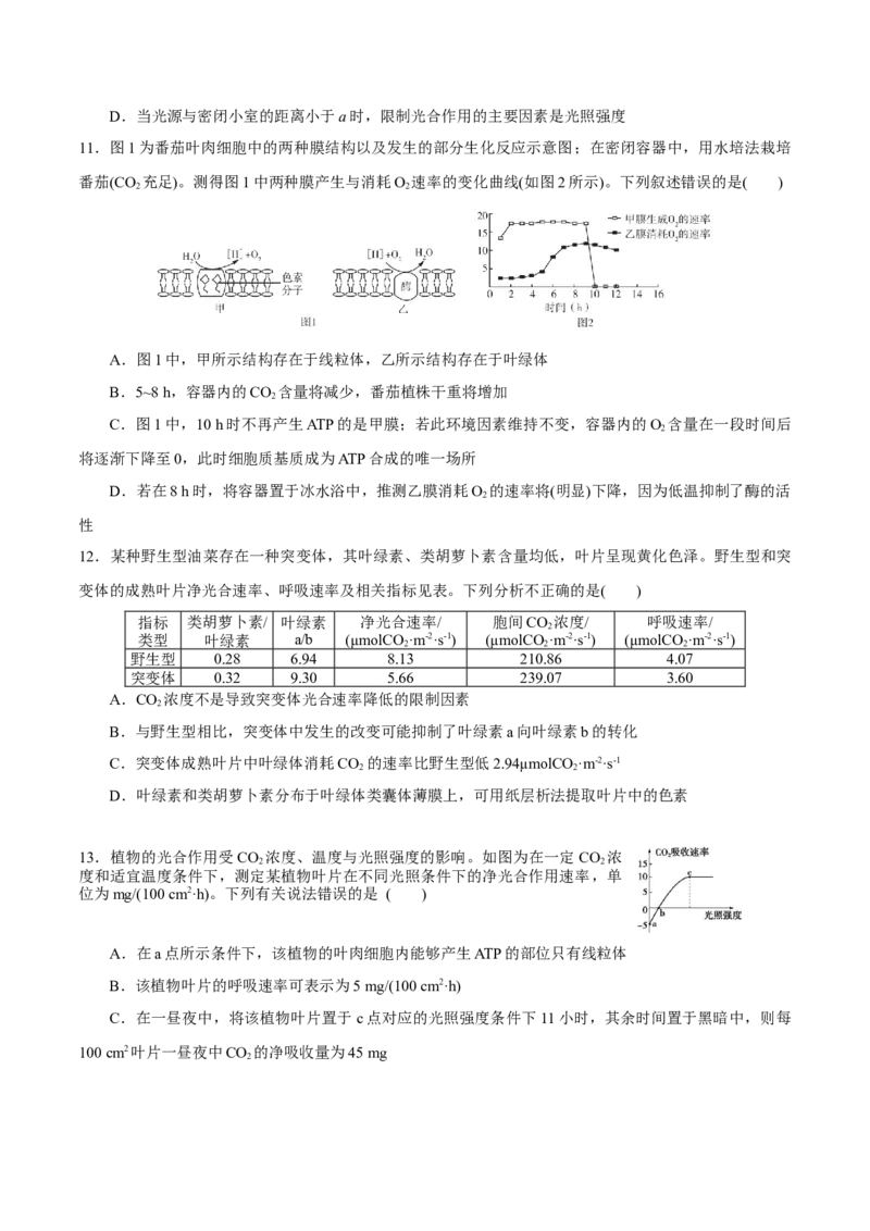 GKSW150_第9讲光合作用-备战2022年高考生物一轮复习精品讲义（人教版）(原卷版)_新高考复习资料_2022年新高考复习资料_备战2022新高考生物一轮复习精品讲义（人教版）