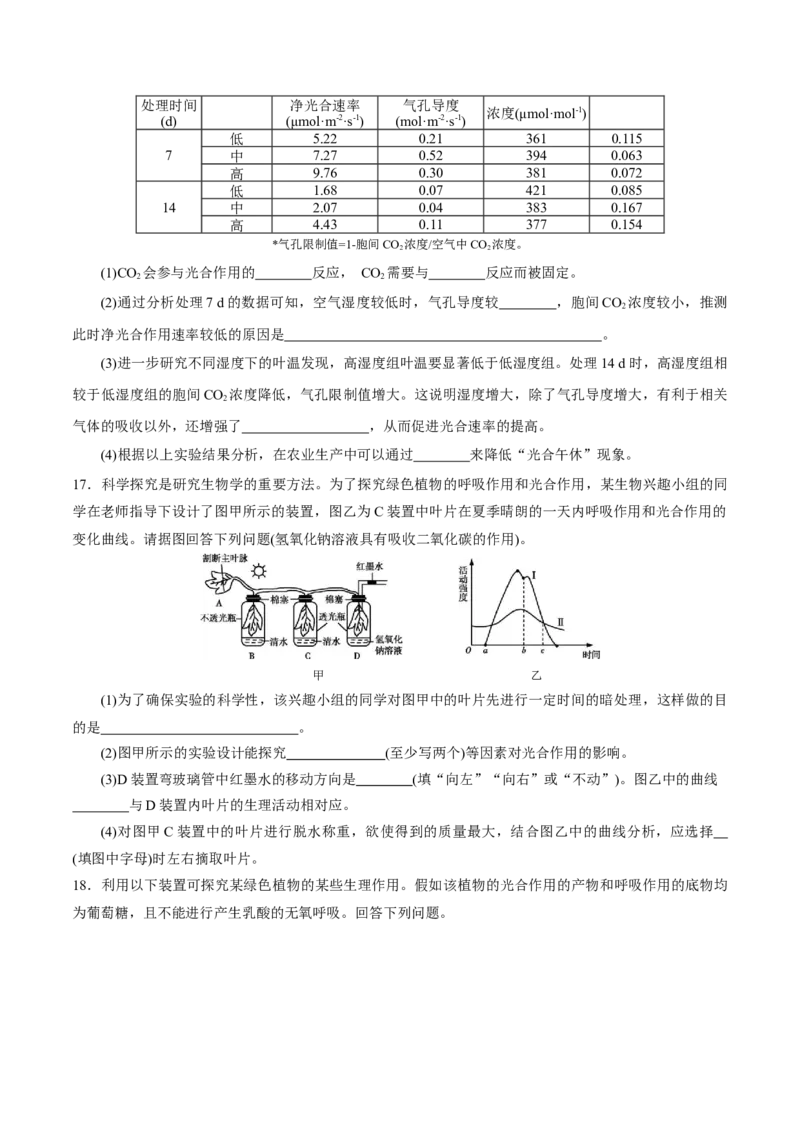 GKSW150_第9讲光合作用-备战2022年高考生物一轮复习精品讲义（人教版）(原卷版)_新高考复习资料_2022年新高考复习资料_备战2022新高考生物一轮复习精品讲义（人教版）