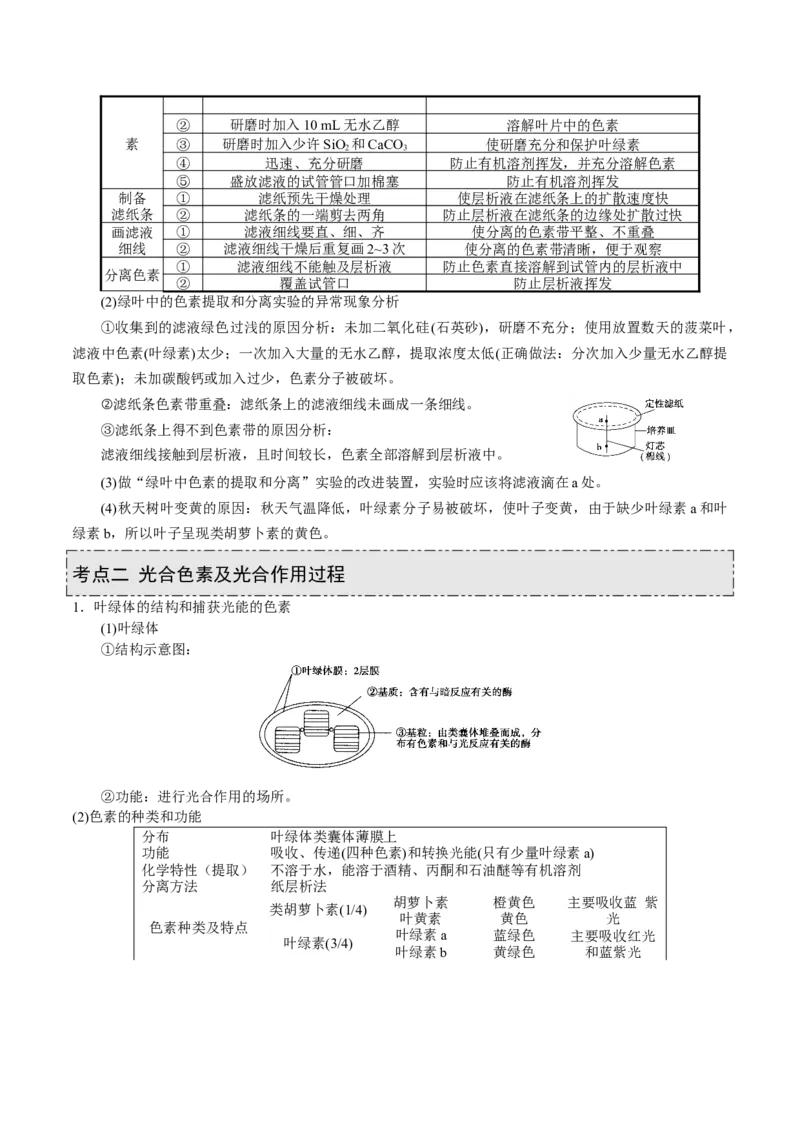 GKSW150_第9讲光合作用-备战2022年高考生物一轮复习精品讲义（人教版）(原卷版)_新高考复习资料_2022年新高考复习资料_备战2022新高考生物一轮复习精品讲义（人教版）