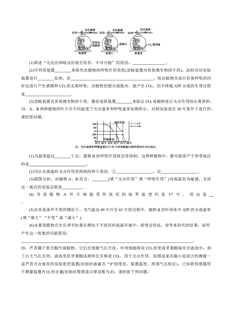 GKSW150_第9讲光合作用-备战2022年高考生物一轮复习精品讲义（人教版）(原卷版)_新高考复习资料_2022年新高考复习资料_备战2022新高考生物一轮复习精品讲义（人教版）