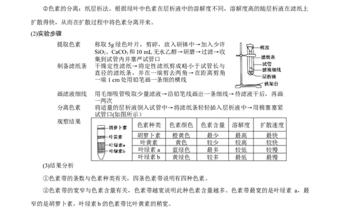 GKSW150_第9讲光合作用-备战2022年高考生物一轮复习精品讲义（人教版）(原卷版)_新高考复习资料_2022年新高考复习资料_备战2022新高考生物一轮复习精品讲义（人教版）