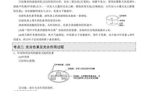 GKSW150_第9讲光合作用-备战2022年高考生物一轮复习精品讲义（人教版）(原卷版)_新高考复习资料_2022年新高考复习资料_备战2022新高考生物一轮复习精品讲义（人教版）