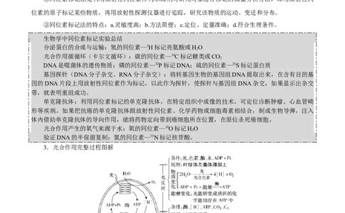 GKSW150_第9讲光合作用-备战2022年高考生物一轮复习精品讲义（人教版）(原卷版)_新高考复习资料_2022年新高考复习资料_备战2022新高考生物一轮复习精品讲义（人教版）