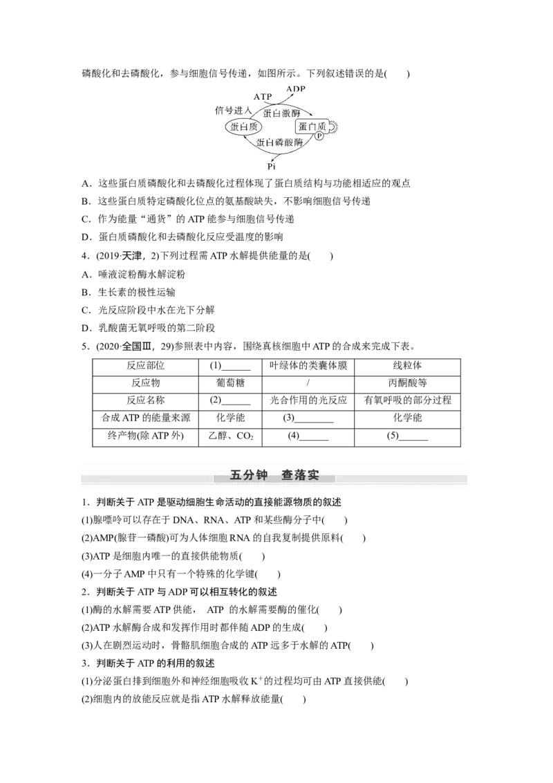 第3单元　第2课时　细胞的能量&ldquo;货币&rdquo;ATP_2024年新高考资料_1.2024一轮复习_2024年高考生物一轮复习讲义（新人教版）_学生版在此文件夹_大一轮复习讲义_第三单元　细胞的能量供应和利用