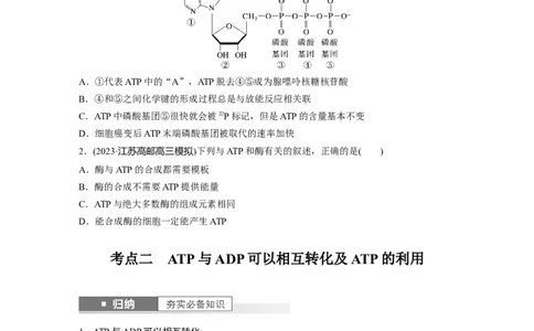 第3单元　第2课时　细胞的能量&ldquo;货币&rdquo;ATP_2024年新高考资料_1.2024一轮复习_2024年高考生物一轮复习讲义（新人教版）_学生版在此文件夹_大一轮复习讲义_第三单元　细胞的能量供应和利用