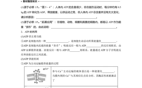 第3单元　第2课时　细胞的能量&ldquo;货币&rdquo;ATP_2024年新高考资料_1.2024一轮复习_2024年高考生物一轮复习讲义（新人教版）_学生版在此文件夹_大一轮复习讲义_第三单元　细胞的能量供应和利用