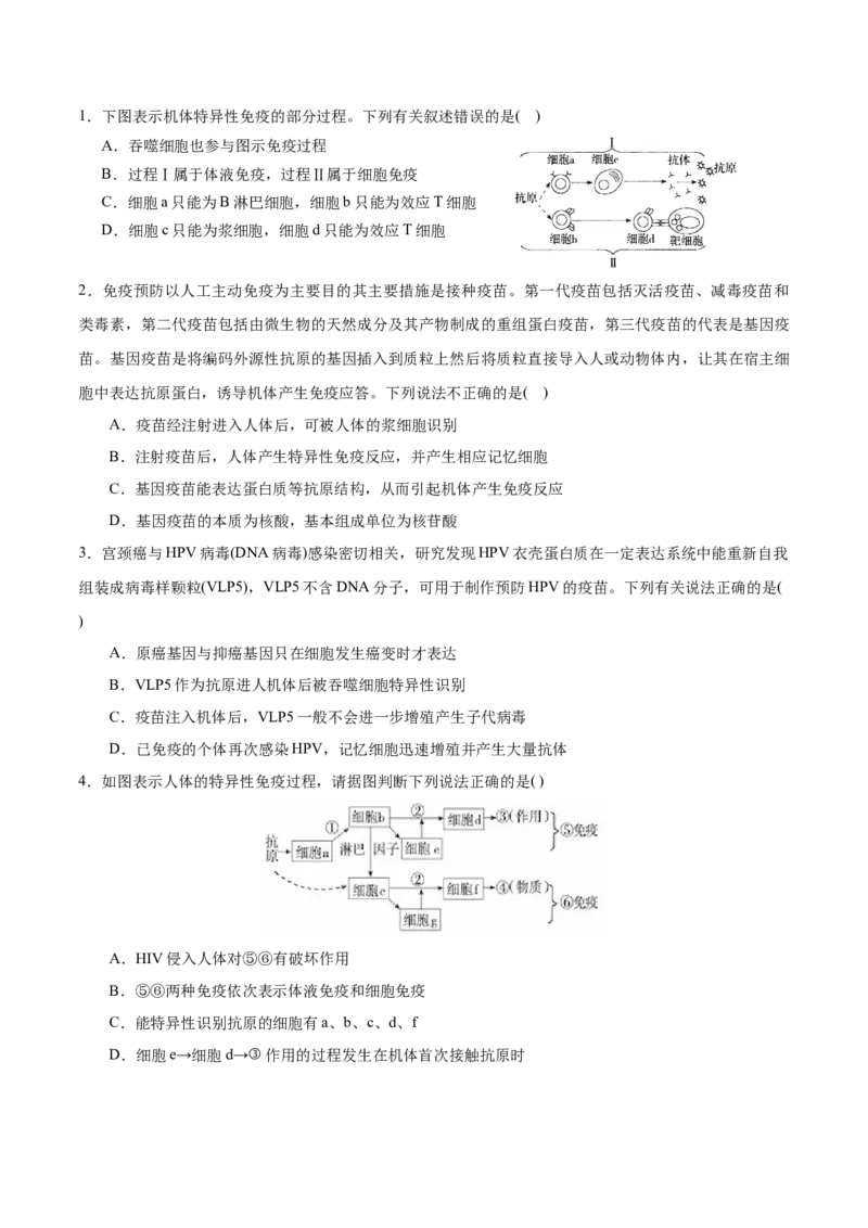 GKSW150_第23讲免疫调节-备战2022年高考生物一轮复习精品讲义（人教版）(原卷版)_新高考复习资料_2022年新高考复习资料_备战2022新高考生物一轮复习精品讲义（人教版）