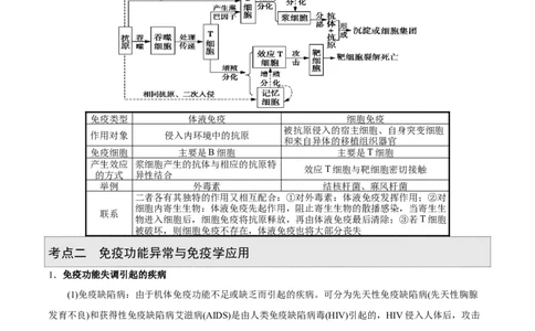 GKSW150_第23讲免疫调节-备战2022年高考生物一轮复习精品讲义（人教版）(原卷版)_新高考复习资料_2022年新高考复习资料_备战2022新高考生物一轮复习精品讲义（人教版）