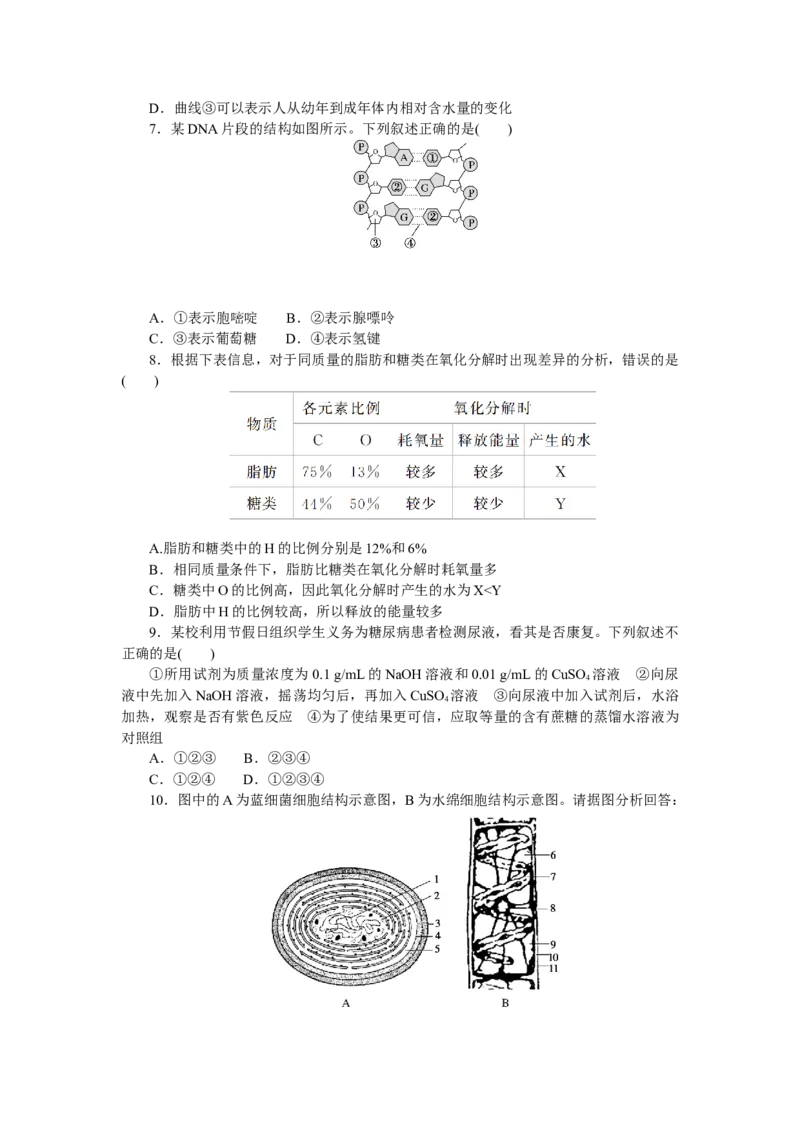 专练8　组成细胞的分子综合练_新高考复习资料_2023年新高考复习资料_专项复习_2023《微专题&middot;小练习》&middot;生物&middot;新教材&middot;XL-7