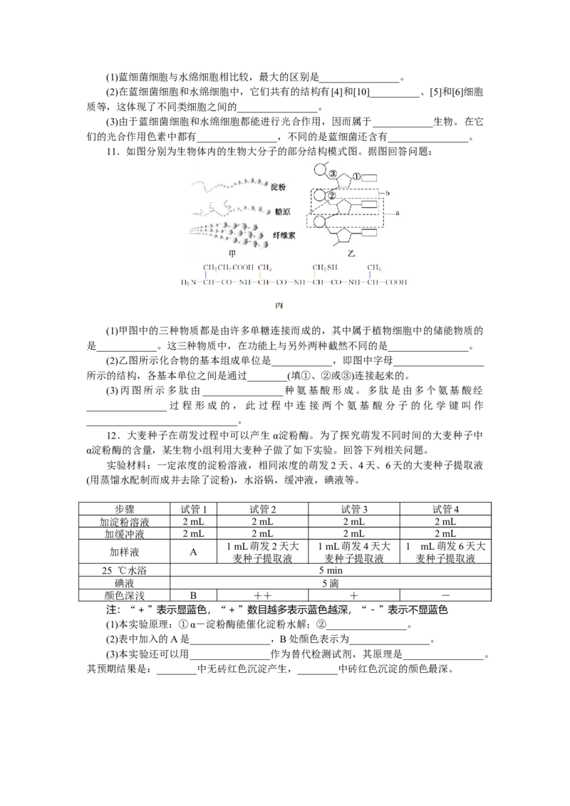 专练8　组成细胞的分子综合练_新高考复习资料_2023年新高考复习资料_专项复习_2023《微专题&middot;小练习》&middot;生物&middot;新教材&middot;XL-7