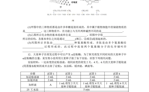专练8　组成细胞的分子综合练_新高考复习资料_2023年新高考复习资料_专项复习_2023《微专题&middot;小练习》&middot;生物&middot;新教材&middot;XL-7