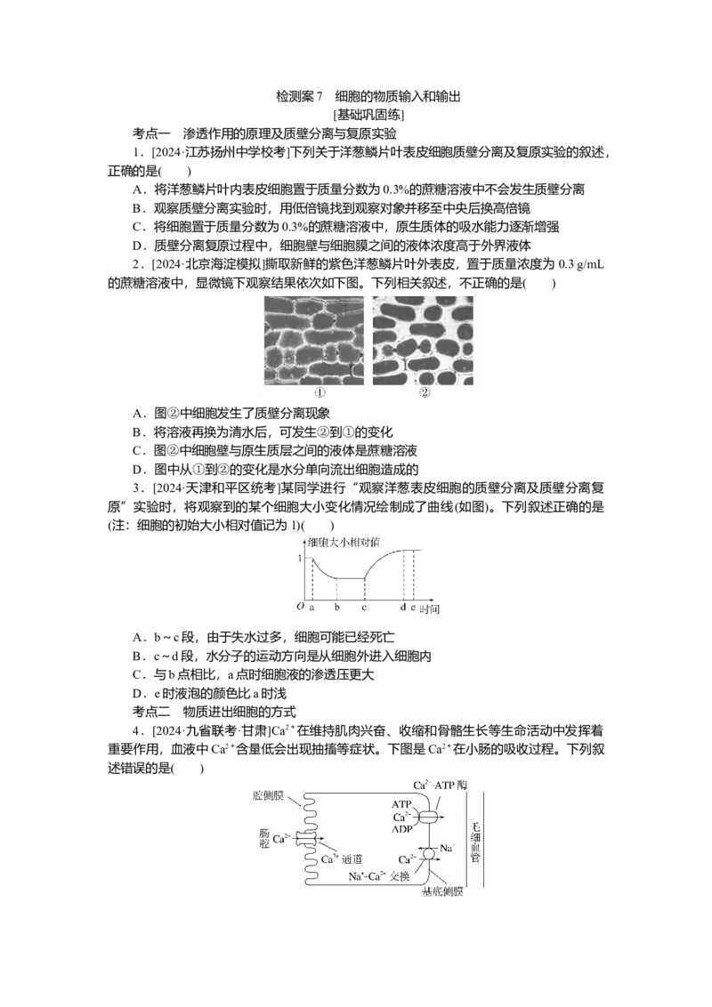 2025届高中生物学一轮复习检测案7　细胞的物质输入和输出（含解析）_2025年新高考资料_一轮复习_2025届高中生物学一轮复习分层复习检测(含解析)