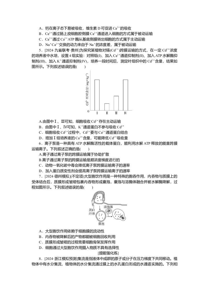 2025届高中生物学一轮复习检测案7　细胞的物质输入和输出（含解析）_2025年新高考资料_一轮复习_2025届高中生物学一轮复习分层复习检测(含解析)