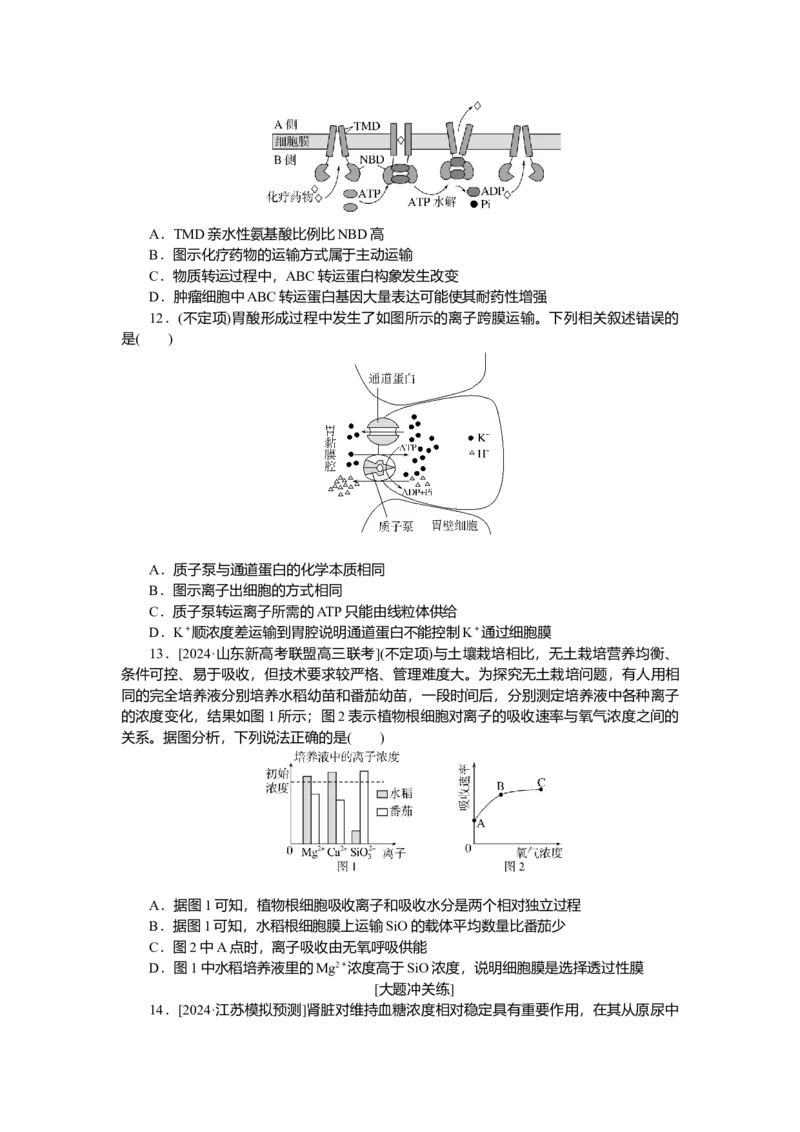 2025届高中生物学一轮复习检测案7　细胞的物质输入和输出（含解析）_2025年新高考资料_一轮复习_2025届高中生物学一轮复习分层复习检测(含解析)