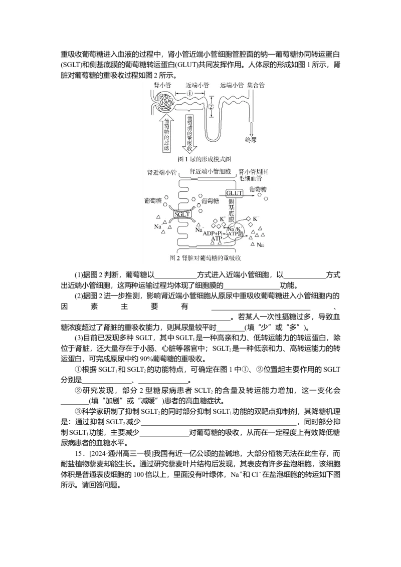 2025届高中生物学一轮复习检测案7　细胞的物质输入和输出（含解析）_2025年新高考资料_一轮复习_2025届高中生物学一轮复习分层复习检测(含解析)