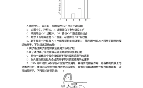 2025届高中生物学一轮复习检测案7　细胞的物质输入和输出（含解析）_2025年新高考资料_一轮复习_2025届高中生物学一轮复习分层复习检测(含解析)