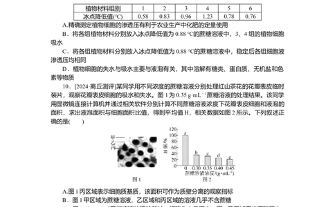 2025届高中生物学一轮复习检测案7　细胞的物质输入和输出（含解析）_2025年新高考资料_一轮复习_2025届高中生物学一轮复习分层复习检测(含解析)