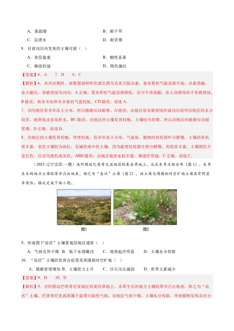 热点05土壤与环境（解析版）_2025年新高考资料_二轮复习_01高考语文等多个文件_2025年高三地理高考二轮复习专项提升_重点&middot;难点&middot;热点专练（分地区）_广东专用