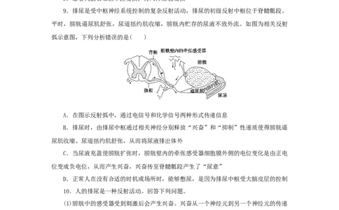 2023版新教材高考生物微专题小练习专练68神经系统的分级调节202208091237_通用版（老高考）复习资料_2023年复习资料_一轮复习_2023届高考生物一轮微专题100练