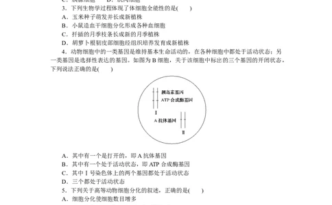 专练30　细胞的分化及细胞的全能性_通用版（老高考）复习资料_2023年复习资料_专项复习_2023《微专题&middot;小练习》&middot;生物