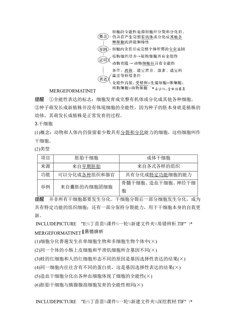 第12讲细胞的分化、衰老和死亡_2024年新高考资料_1.2024一轮复习_2024年高考生物一轮复习讲义（新人教版）_另附1套Word版题库_必修1_第四单元细胞的生命历程
