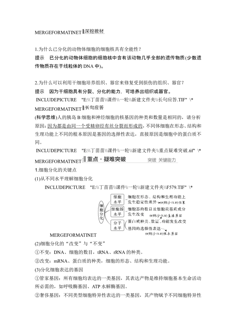 第12讲细胞的分化、衰老和死亡_2024年新高考资料_1.2024一轮复习_2024年高考生物一轮复习讲义（新人教版）_另附1套Word版题库_必修1_第四单元细胞的生命历程